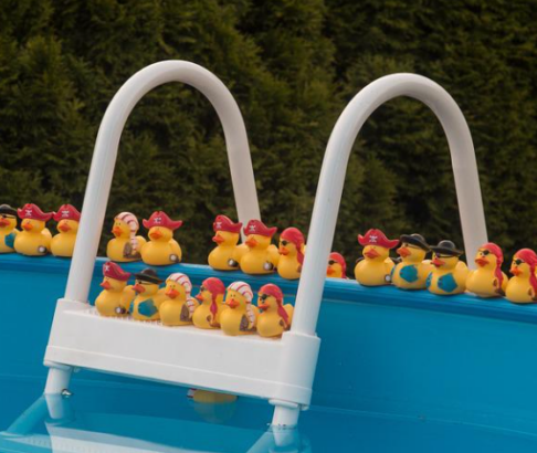 Pool im Garten